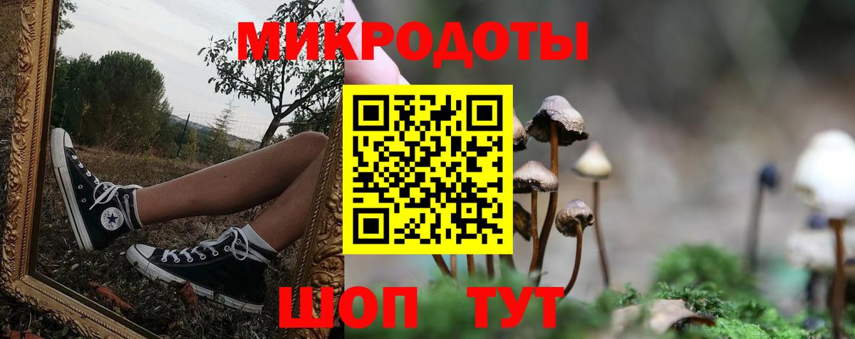 Псилоцибиновые грибы прущие грибы Будённовск