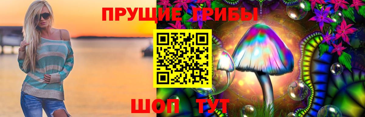 наркотики  Вход с VPN  Будённовск  Галлюциногенные грибы Psilocybine cubensis 
